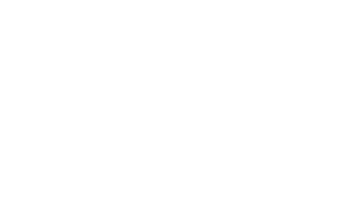 OVVO Optics logo