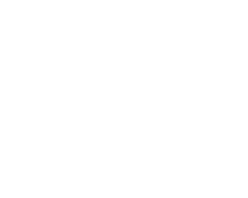 Bellinger house logo