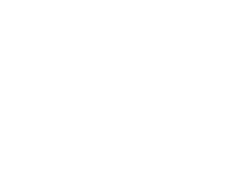 Salt logo