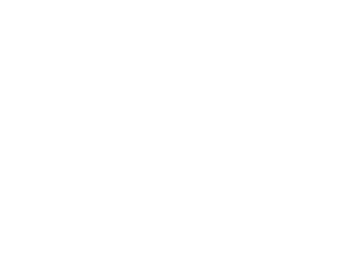 Tom Ford Eyewear logo